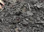 Fertiliser Mixing Racket Ninthavur Bared