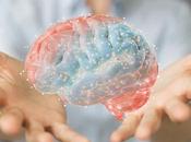 Brain Supplements Actually Improve Memory Focus?