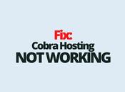 Fix: Cobra Hosting Working
