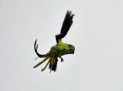 Life Gets Tougher When Rains