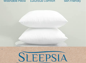 Choosing Right Throw Pillow Inserts