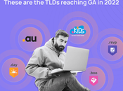 InterNetX Takes Look Extensions That Reached 2022