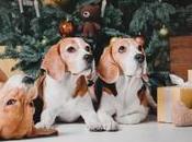 Season’s Greetings