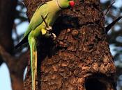 Stunningly Beautiful Jodie Corner