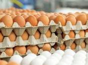 Poultry Industry Associations Agree Provide Eggs Rs.55