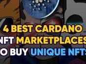 Best Cardano Marketplaces Unique NFTs