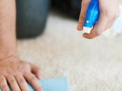 Tips Removing Stubborn Carpet Stains