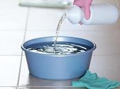 Take Care Your Flowers with Bleach