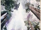 Damnation Creek Trail Huge Painting Mist Redwood Forest