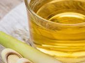 Year 2023: Detox Recipes After Years Bingeing