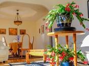 Fertilize Christmas Cactus Naturally?