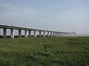 Longest Bridges World