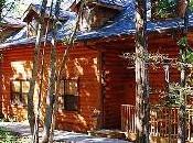 Back Nature Cabin