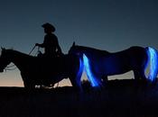 Tail Lights Horses: Great Solution Night Time Horse Traffic
