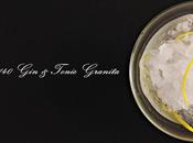 Tonic Granita #140