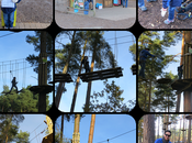 Review: Tree Junior Adventure Cannock Chase