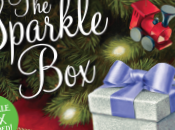 Start Holiday Tradition with Your Family: Sparkle Box!