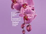 Color Year 2014: PANTONE 18-3224 Radiant Orchid