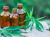 Facts You’ve Always Wondered About