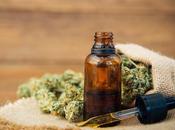 Health Benefits Senior Citizens