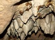 Aruba Caves Visit Vacation 2023