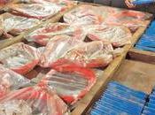 Mini Lorry Taking Explosives with Suspects Arrested Bingiriya