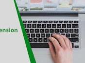 File Extension Form 4868?