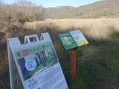 STORY WALK: Reading Along Trail, Marin County, California