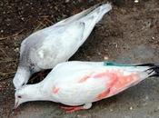 Colour, Colour What Choose ?!?!?