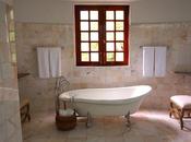 Bathroom Trends Alert With Tubs- 2023