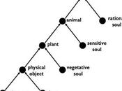 Stephen Wolfram Looking “semantic Grammar” Laws Motion” [Great Chain Being]