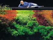 Most Extreme Aquariums World