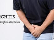 What Orchitis?- Symptoms Causes, Diagnosis Ayurvedic Management
