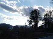 John Vicki Some Pigs