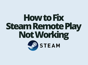 Steam Remote Play Working