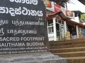 Pada Road Restaurants Under Scrutiny After Listeria Infection