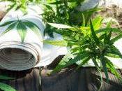 Benefits Women Safely.