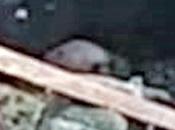 Sword Used Sever Hands Found