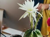 Essential Tips Setting Your Craft Business