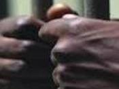 Mastermind Indian Visa Racket Arrested Wattegama