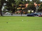 Finest Spots Visit North Fork