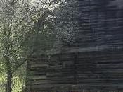 White Apple Bloom, Pink Cones, Bluebells