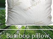 Choose Perfect Bamboo Pillow Your Sleeping Needs