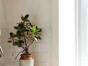 This Thing Ridiculous!