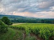 Best Sussex Wine Tasting Tours 2023