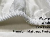 Waterproof Mattress Protector: It's Important Good Night's Sleep