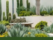 Xeriscape Gardening: Sustainable Landscaping Arid Water-Scarce Regions