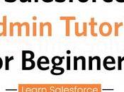 Certified Salesforce Admin Should