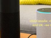 Setup Amazon Echo Dot? Simple Guide