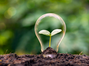 Adopting Eco-Friendly Practices Hair Salons